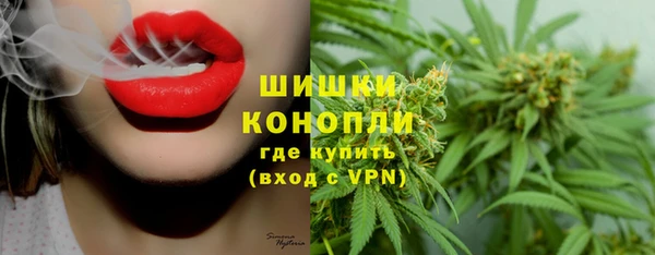 СК Абинск