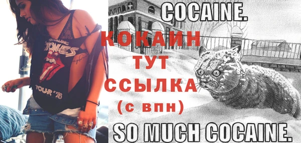 шишки Няндома