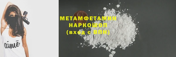 шишки Няндома