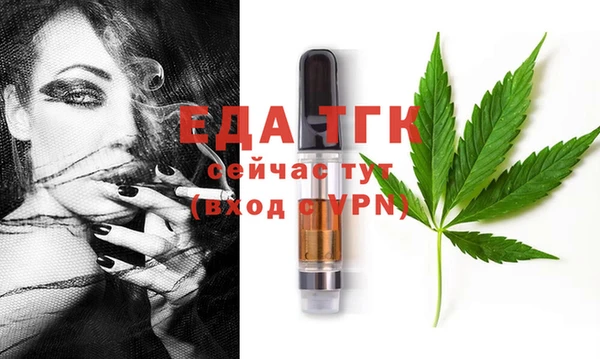 шишки Няндома
