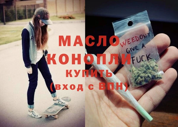 шишки Няндома