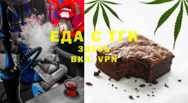 шишки Няндома