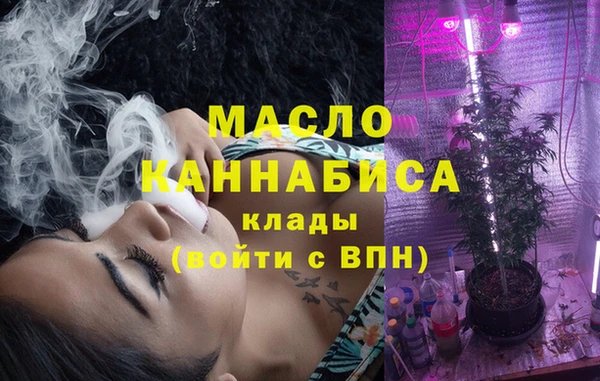 шишки Няндома