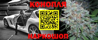 PSILOCYBIN Пугачёв