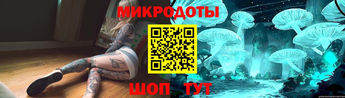 Галлюциногенные грибы Psilocybine cubensis  Вход с VPN  Химки 
